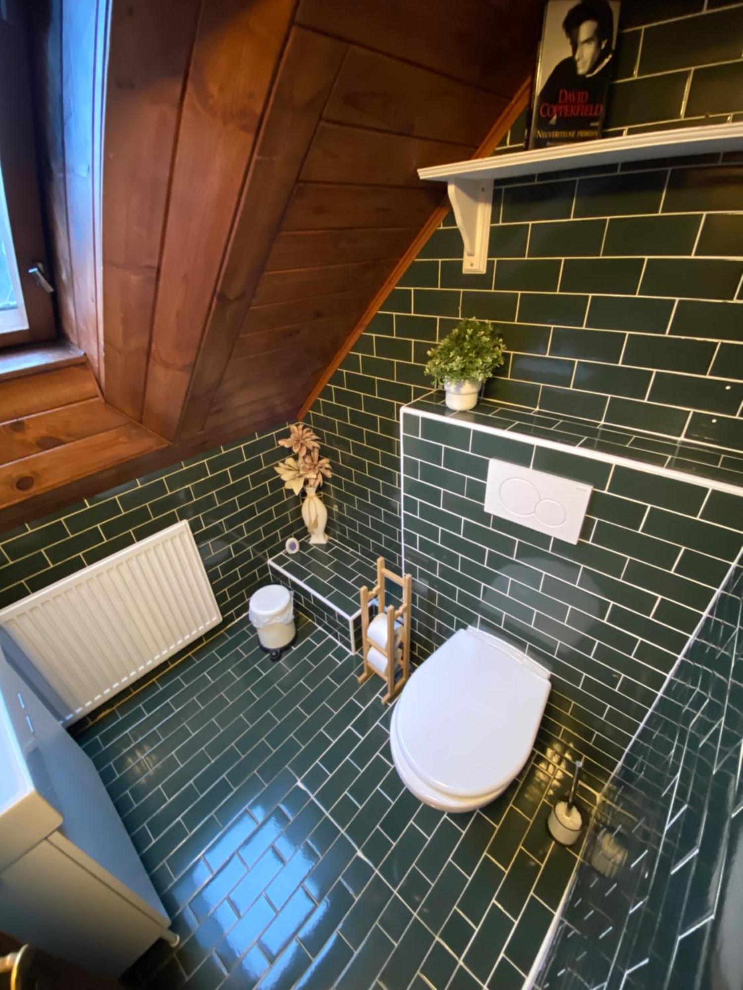 Holiday House Lipno-Slupecna 伏尔塔瓦河畔利普诺 外观 照片